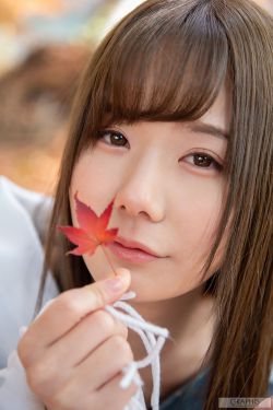 小仙女导航导入